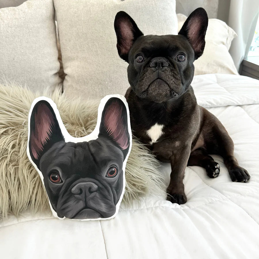 Custom Pet Faced Pillows