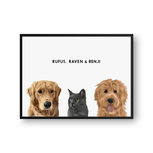 Modern Pet Portrait 5