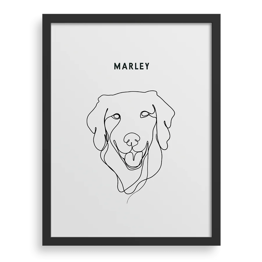 Modern Pet Portrait 6